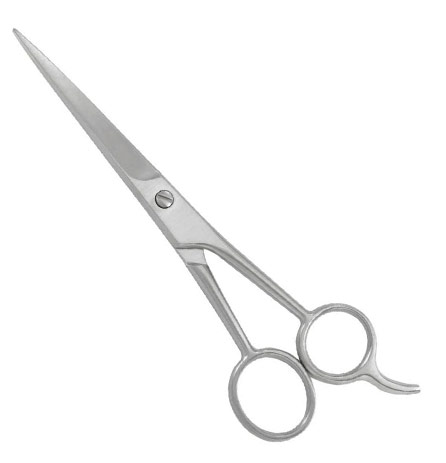 Professional Barber Shears