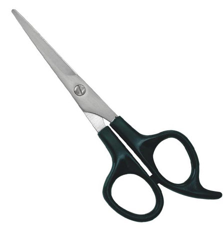 Barber Shears