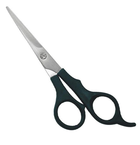 Barber Shears