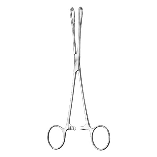 RAMPLEY  Sponge Holding Forceps 180mm 7