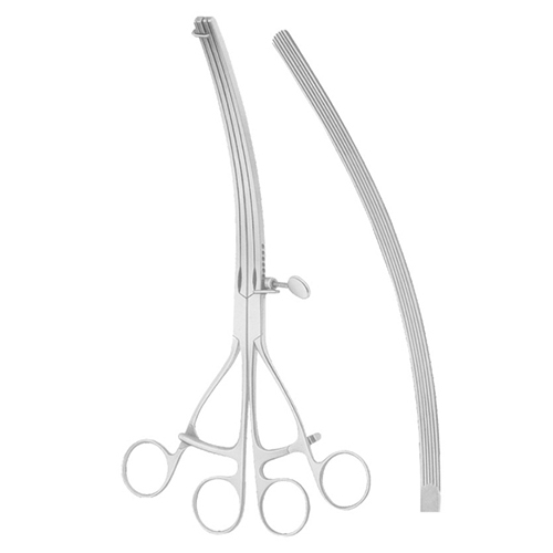 LANE TWIN ANASTOMOSIS Intestinal Clamps300mm (12