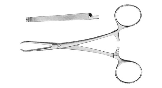 Chaput (Poirier) Tissue Forceps  125mm (5