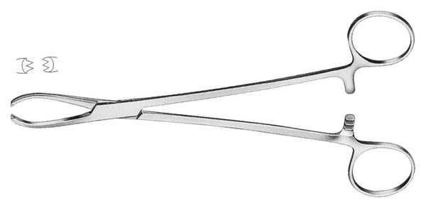 LittleWood Tissue Forceps 185mm (7.1/4