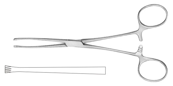 ALLIS Amercian Pattern Tissue Forceps132mm (6