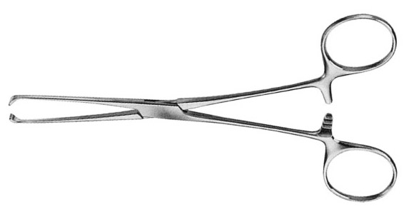 Allis Tissue Forceps 132mm (6