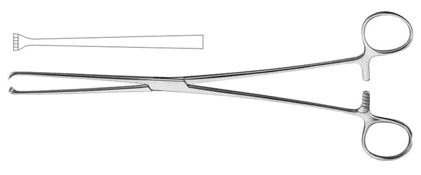 Allis Tissue Forceps 190mm (7.1/2