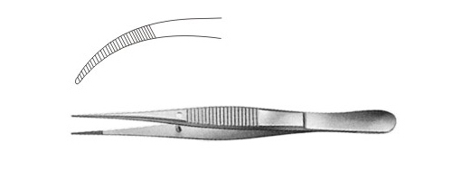 Delicate Dissecting Forceps 105mm (4.1/8