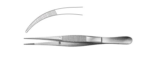 Delicate Dissecting Forceps 130mm (5.1/8