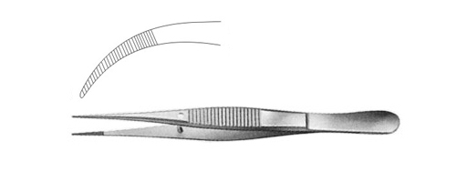 Delicate Dissecting Forceps 145mm (5.3/4