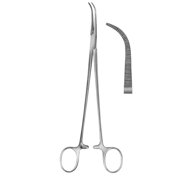 Fine Curved Dissecting Forceps 215mm (8.1/2