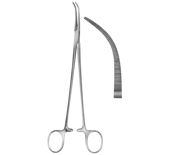 Fine Curved Dissecting Forceps 220mm (8.3/4