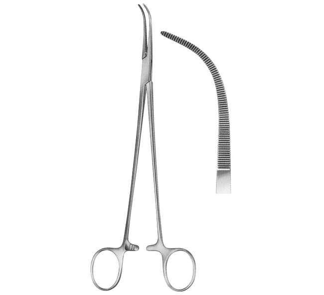 Fine Curved Dissecting Forceps 225mm (9