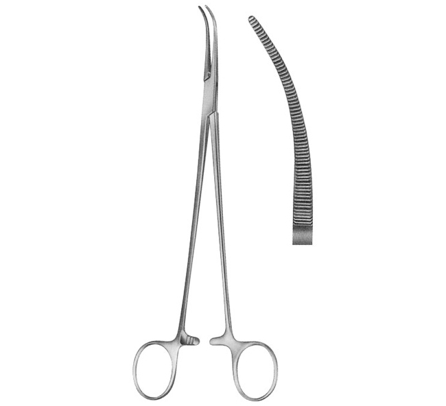 Fine Curved Dissecting Forceps 225mm (9