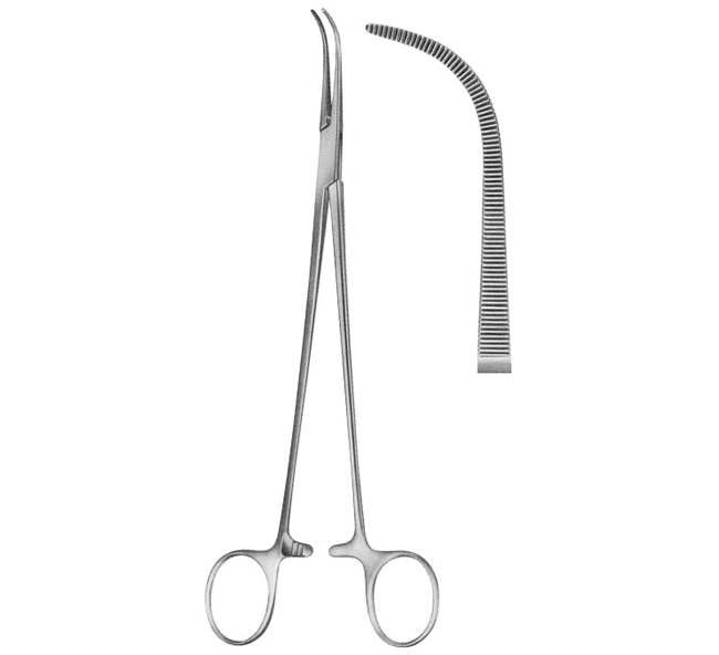 Fine Curved Dissecting Forceps 295mm (11.3/4