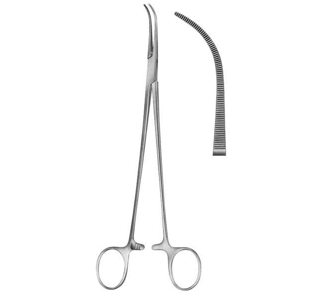 Fine Curved Dissecting Forceps 295mm (11.3/4